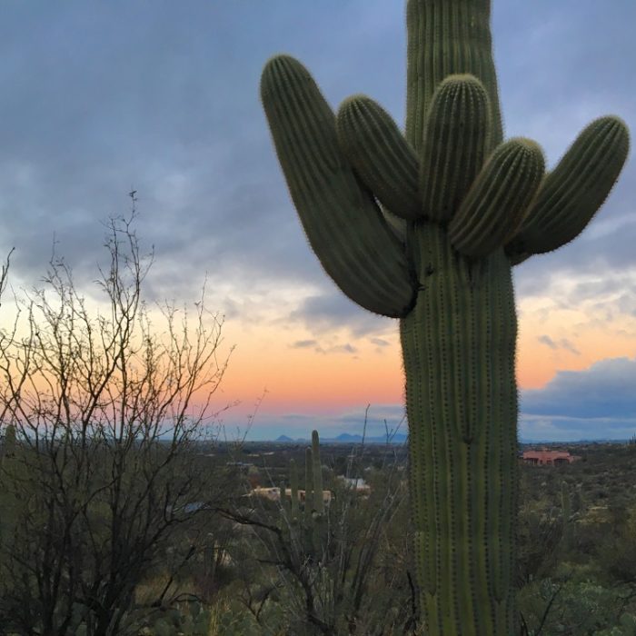 On the Road: MISA at Tanque Verde, Tucson, AZ