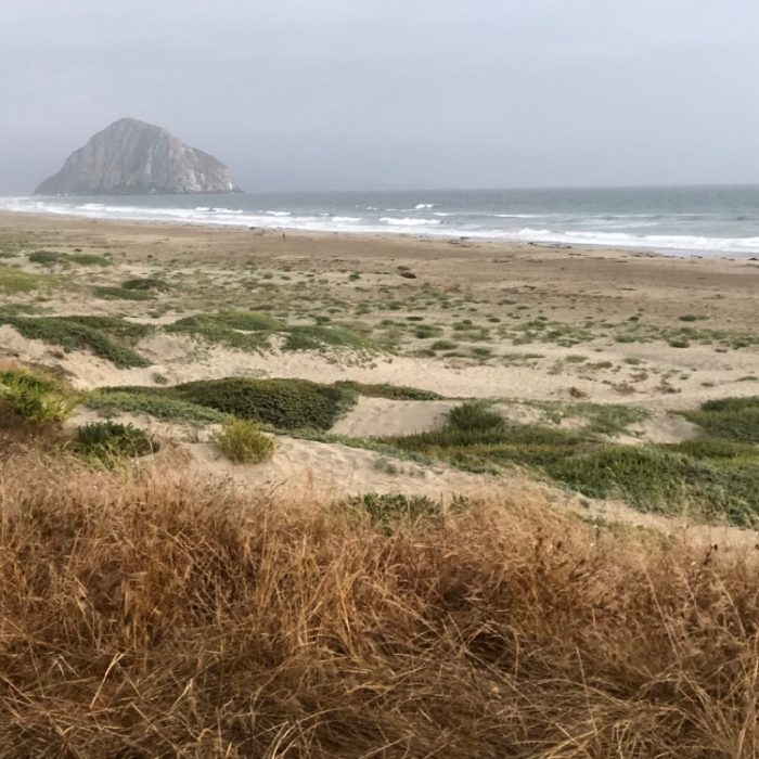 On the Road: Morro Bay, CA, and the Seven Sisters Quilt Show, June 2018