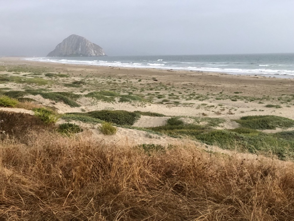 On the Road: Morro Bay, CA, and the Seven Sisters Quilt Show, June 2018