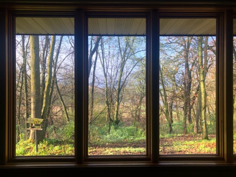 Susan Carlson Throwback Thursday: Past and Upcoming Classes in Wisconsin at Woodland Ridge Retreat Susan Carlson Throwback Thursday: Past and Upcoming Classes in Wisconsin at Woodland Ridge Retreat