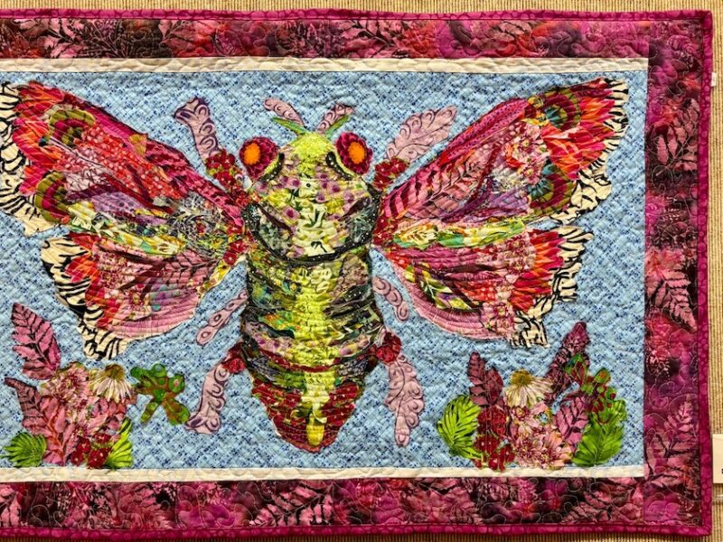 Fascinating Bugs and Butterflies: Student Fabric Collage Quilts 1