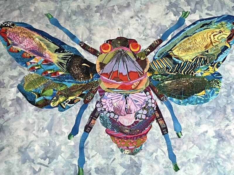 Fascinating Bugs and Butterflies: Student Fabric Collage Quilts 2