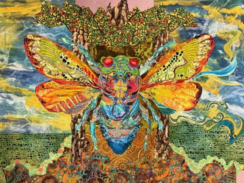 Susan Carlson Fabric Collage: Cicada—Second Draft Annotations Susan Carlson Fabric Collage: Cicada—Second Draft Annotations