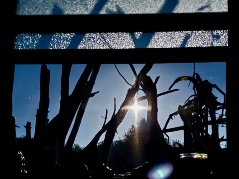 Susan Carlson This Week in My Studio: Summer Moons and Summer Sun Susan Carlson This Week in My Studio: Summer Moons and Summer Sun