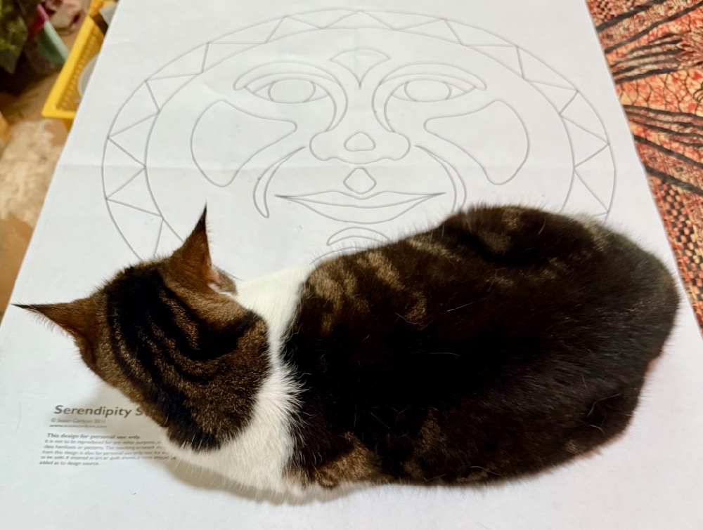 Starting Today: Susan Carlson’s Fly on the Wall— Bella Luna Studio Watch Starting Today: Susan Carlson’s Fly on the Wall— Bella Luna Studio Watch