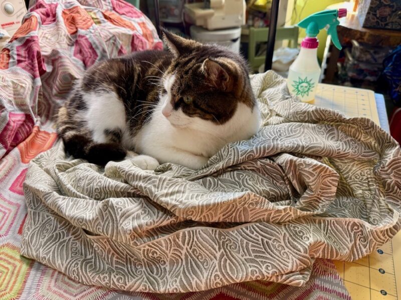 Susan Carlson Fabric Collage: Top Tip—Spray Bottle Ironing Susan Carlson Fabric Collage: Top Tip—Spray Bottle Ironing