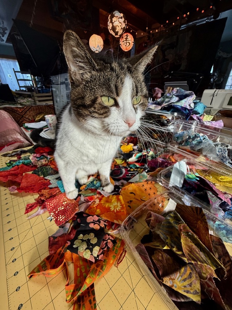 Susan Carlson Fabric Collage: Looking Forward to 2026 Susan Carlson Fabric Collage: Looking Forward to 2026