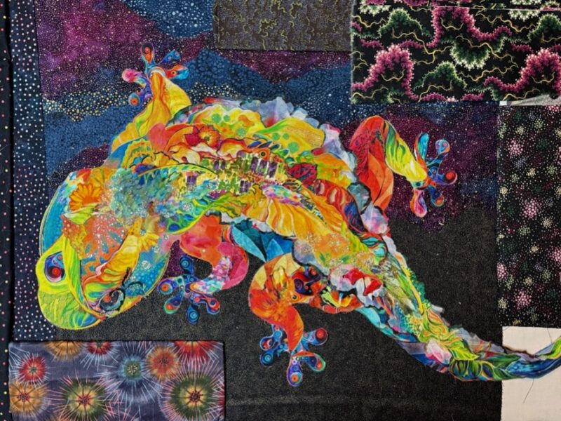 Susan Carlson Throwback Thursday: Gecko Follow Along Wraps Up Today Susan Carlson Throwback Thursday: Gecko Follow Along Wraps Up Today