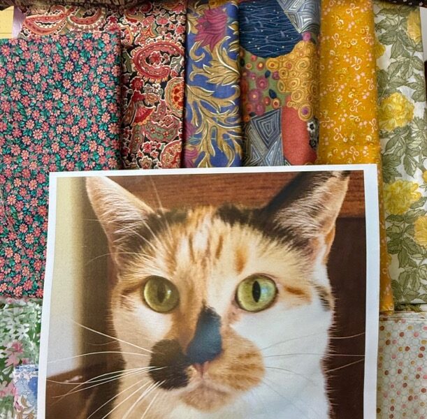 Susan Carlson Fabric Collage Throwback Thursday: Preparing a Palette for Captivating Cats