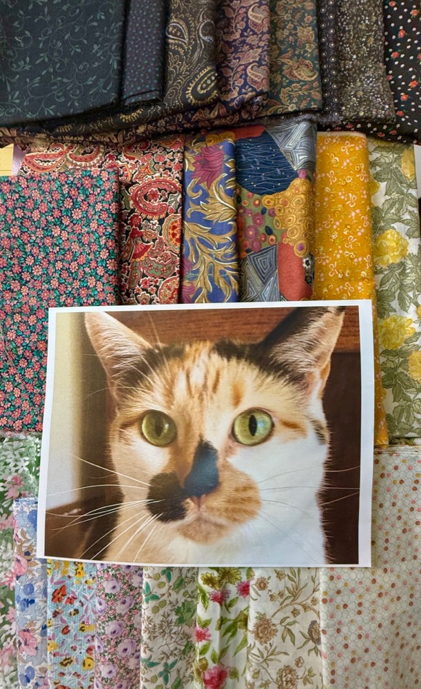 Susan Carlson Fabric Collage Throwback Thursday: Preparing a Palette for Captivating Cats